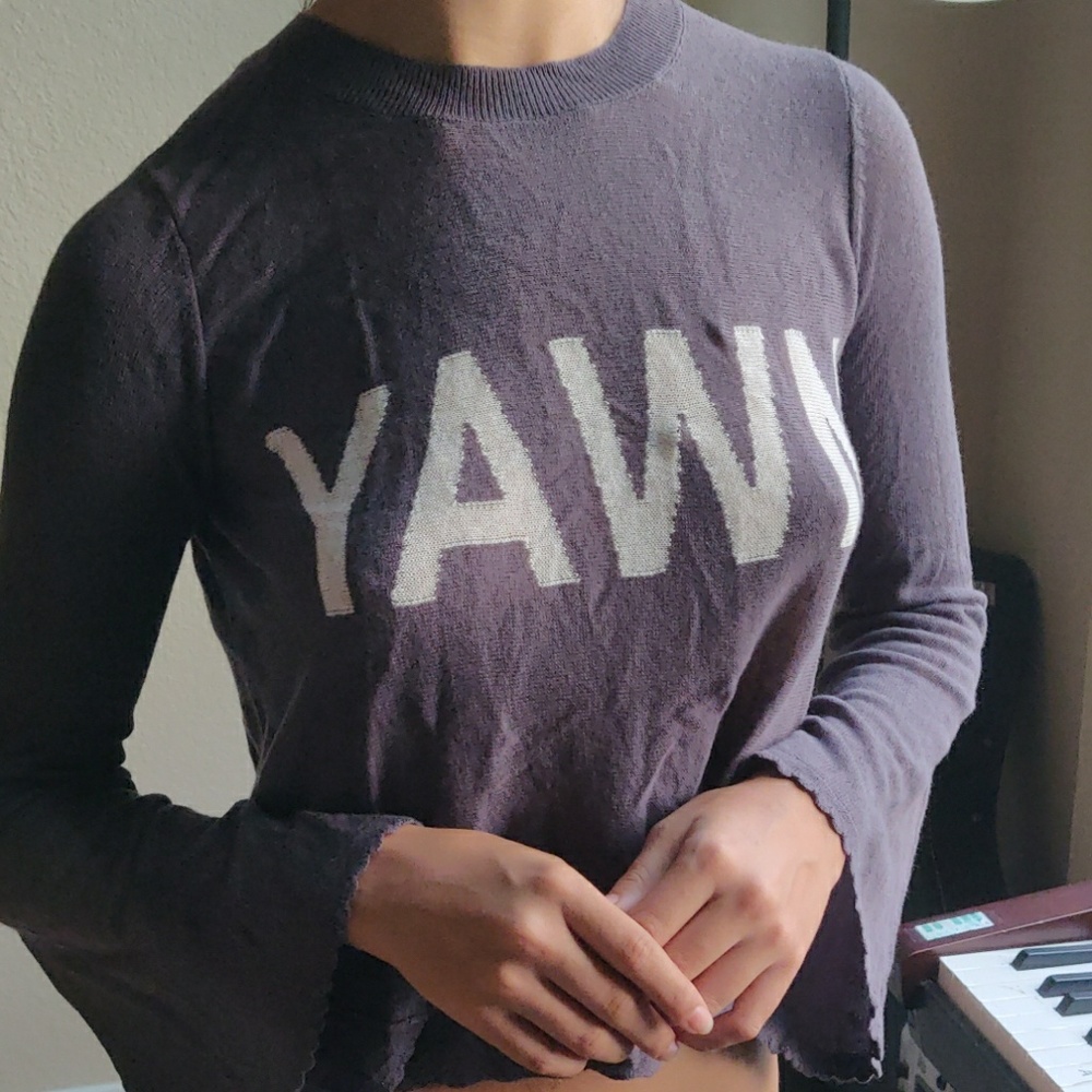 Wildfox Sweater